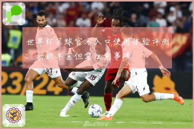世界杯买球官方入口使用体验评测:功能丰富但需注意事项