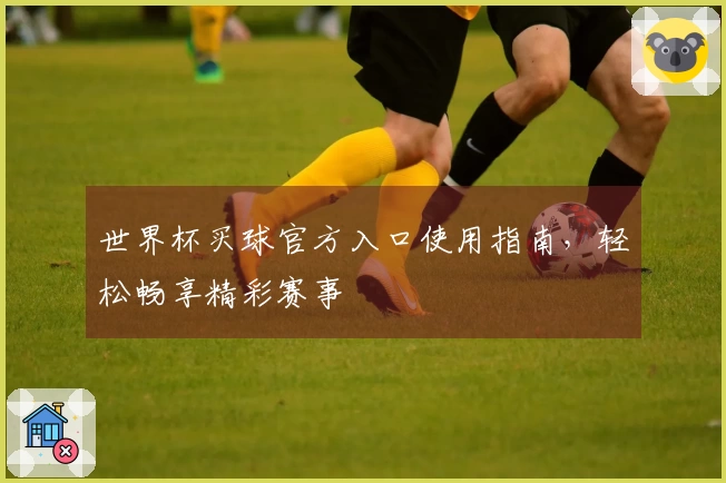 世界杯买球官方入口使用指南，轻松畅享精彩赛事