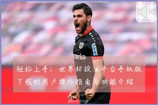 轻松上手：世界杯投注平台手机版下载的用户操作指南与功能介绍