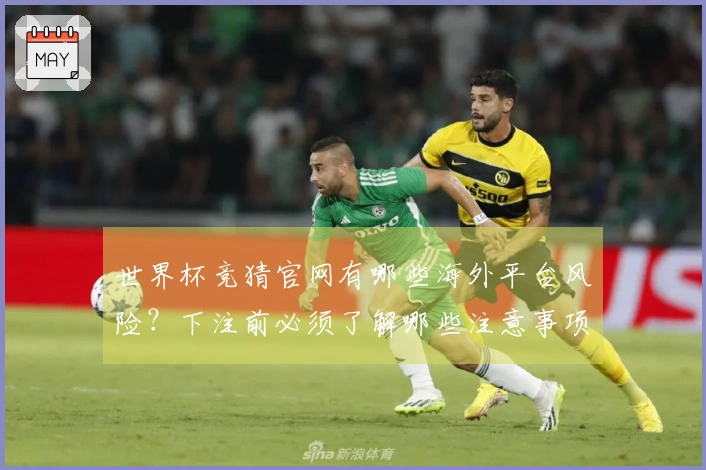 世界杯竞猜官网有哪些海外平台风险?下注前必须了解哪些注意事项?