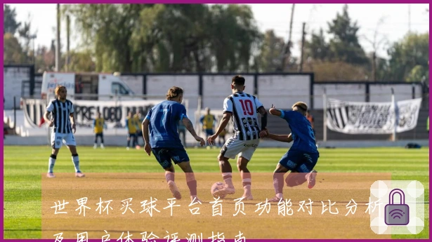 世界杯买球平台首页功能对比分析及用户体验评测指南