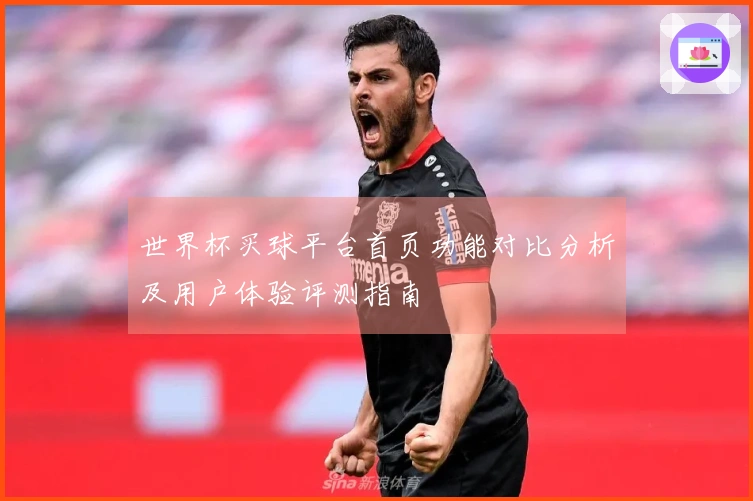 世界杯买球平台首页功能对比分析及用户体验评测指南