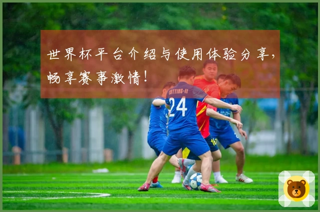 世界杯平台介绍与使用体验分享，畅享赛事激情！