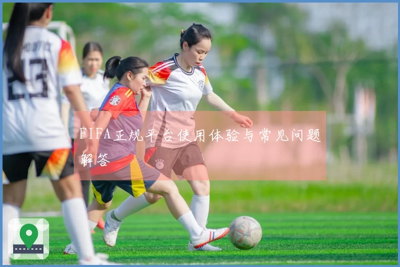 FIFA正规平台使用体验与常见问题解答