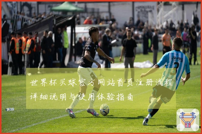 世界杯买球官方网站首页注册流程详细说明与使用体验指南