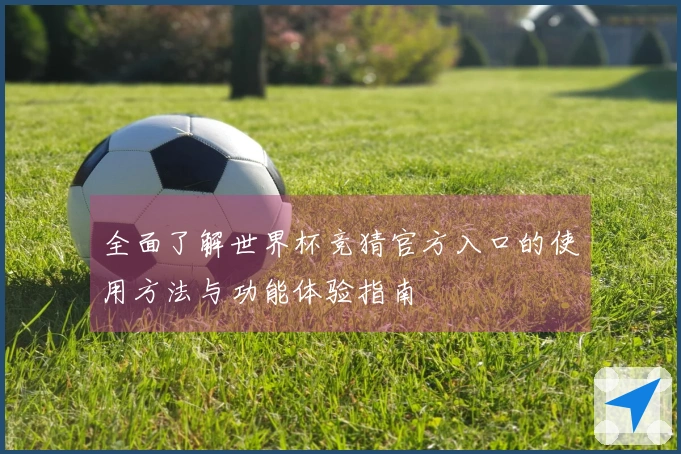 全面了解世界杯竞猜官方入口的使用方法与功能体验指南