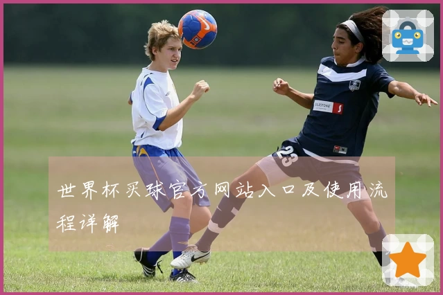 世界杯买球官方网站入口及使用流程详解