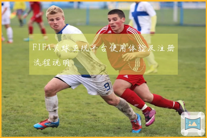 FIFA买球正规平台使用体验及注册流程说明